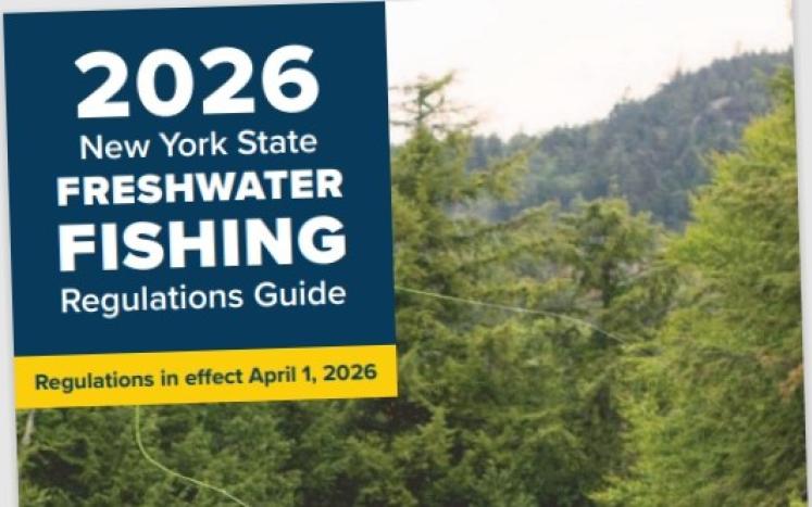 Annual 'Fishing Regulations Guide' now available